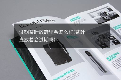 过期茶叶放鞋里会怎么样(茶叶一直放着会过期吗)