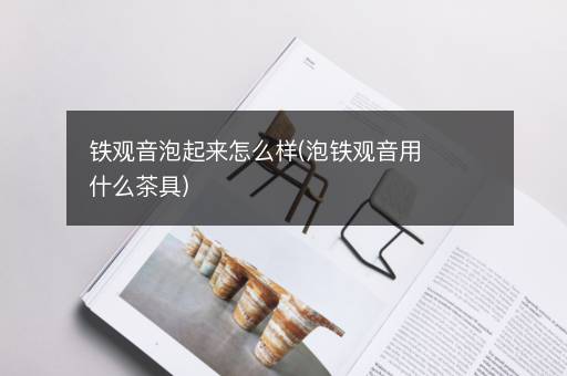 铁观音泡起来怎么样(泡铁观音用什么茶具)