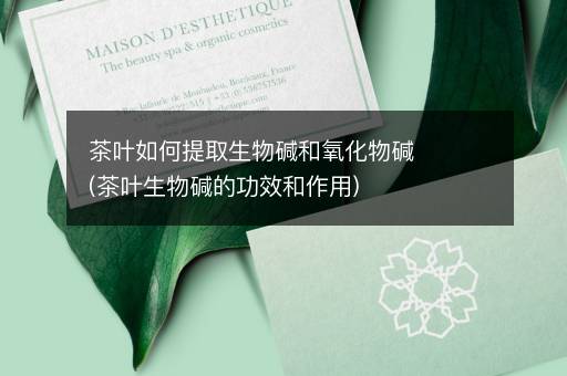茶叶如何提取生物碱和氧化物碱(茶叶生物碱的功效和作用)
