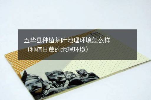 五华县种植茶叶地理环境怎么样（种植甘蔗的地理环境）