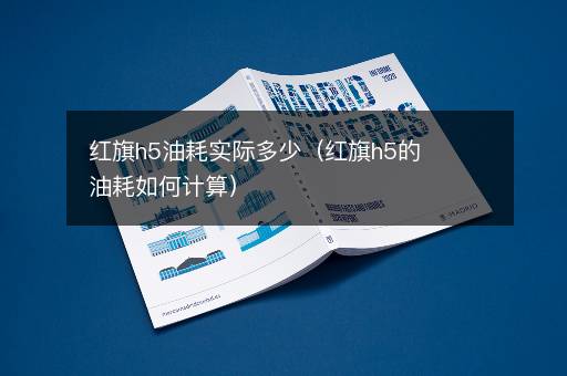 红旗h5油耗实际多少（红旗h5的油耗如何计算）