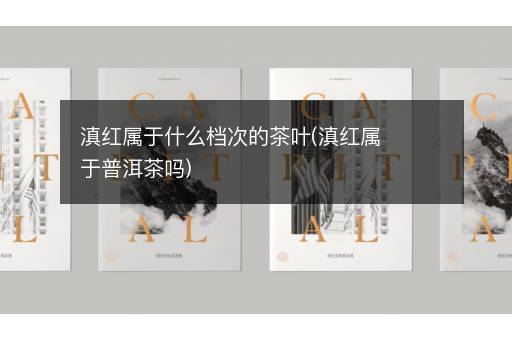 滇红属于什么档次的茶叶(滇红属于普洱茶吗)