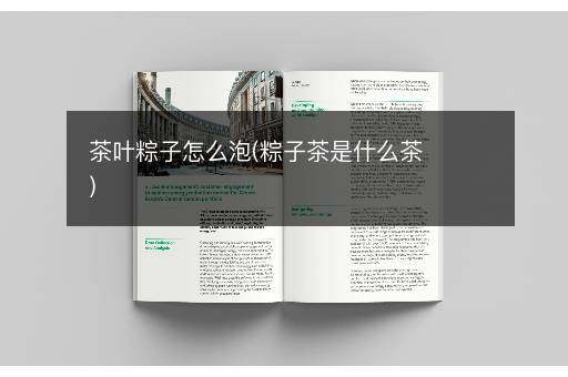 茶叶粽子怎么泡(粽子茶是什么茶)