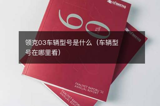领克03车辆型号是什么（车辆型号在哪里看）