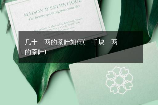 几十一两的茶叶如何(一千块一两的茶叶)