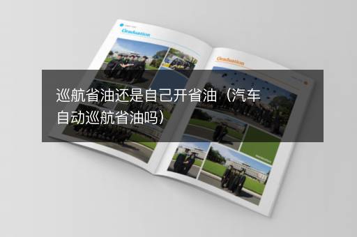 巡航省油还是自己开省油（汽车自动巡航省油吗）