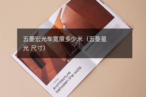 五菱宏光车宽度多少米（五菱星光 尺寸）