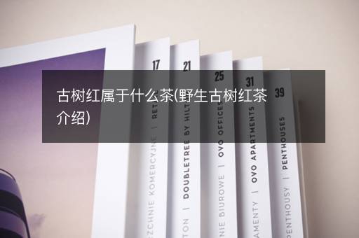 古树红属于什么茶(野生古树红茶介绍)