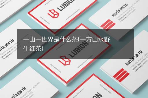 一山一世界是什么茶(一方山水野生红茶)