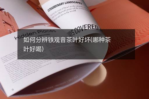 如何分辨铁观音茶叶好坏(哪种茶叶好喝)
