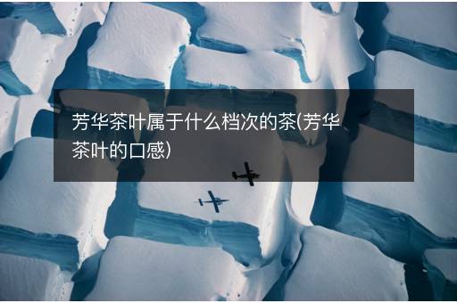 芳华茶叶属于什么档次的茶(芳华茶叶的口感)