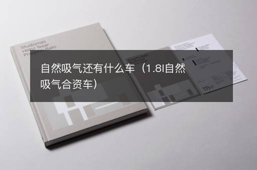 自然吸气还有什么车（1.8l自然吸气合资车）