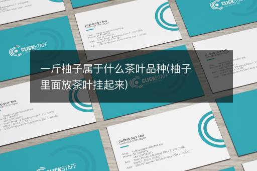 一斤柚子属于什么茶叶品种(柚子里面放茶叶挂起来)