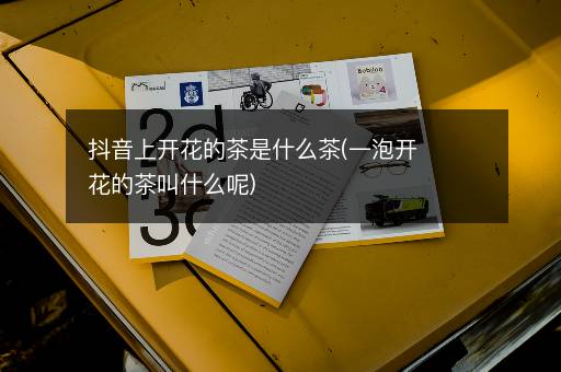 抖音上开花的茶是什么茶(一泡开花的茶叫什么呢)