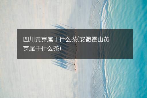 四川黄芽属于什么茶(安徽霍山黄芽属于什么茶)