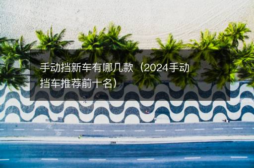 手动挡新车有哪几款（2024手动挡车推荐前十名）
