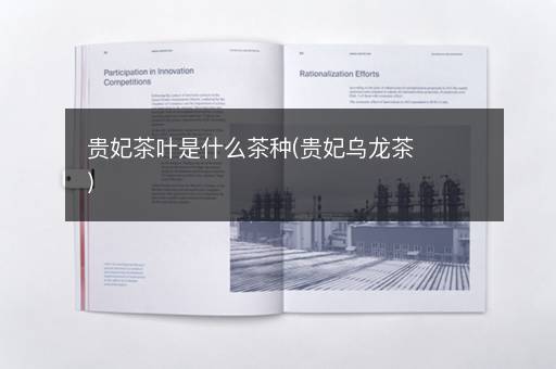 贵妃茶叶是什么茶种(贵妃乌龙茶)