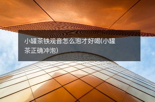 小罐茶铁观音怎么泡才好喝(小罐茶正确冲泡)