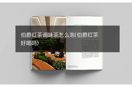 伯爵红茶调味茶怎么泡(伯爵红茶好喝吗)