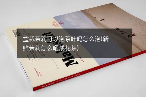 盆栽茉莉可以泡茶叶吗怎么泡(新鲜茉莉怎么晒成花茶)