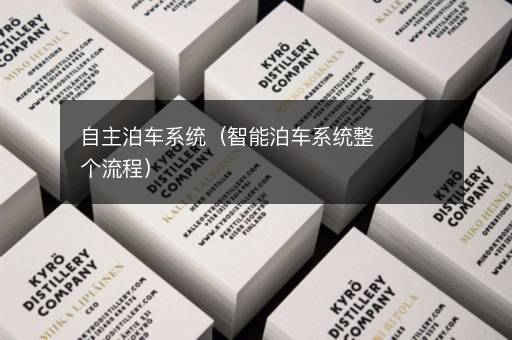 自主泊车系统（智能泊车系统整个流程）