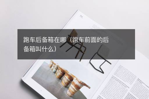 跑车后备箱在哪（跑车前面的后备箱叫什么）