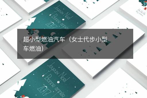超小型燃油汽车（女士代步小型车燃油）