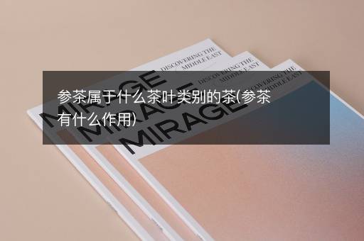 参茶属于什么茶叶类别的茶(参茶有什么作用)