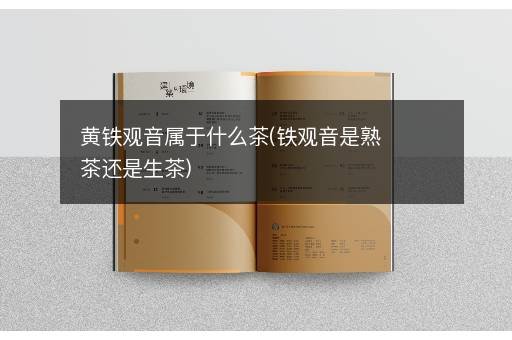 黄铁观音属于什么茶(铁观音是熟茶还是生茶)
