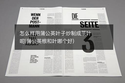 怎么样用蒲公英叶子炒制成茶叶呢(蒲公英根和叶哪个好)